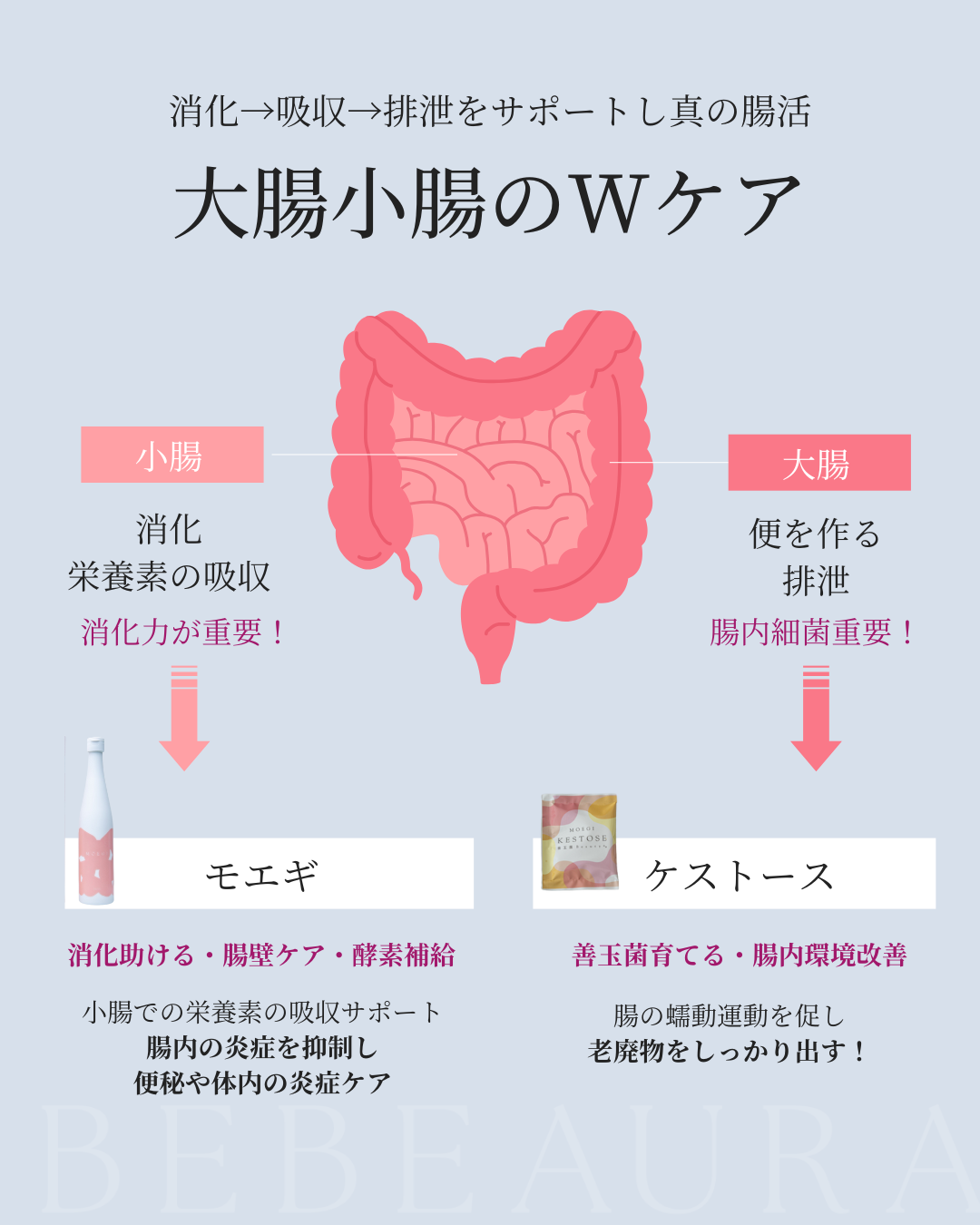 【酵素ドリンク】MOEGI