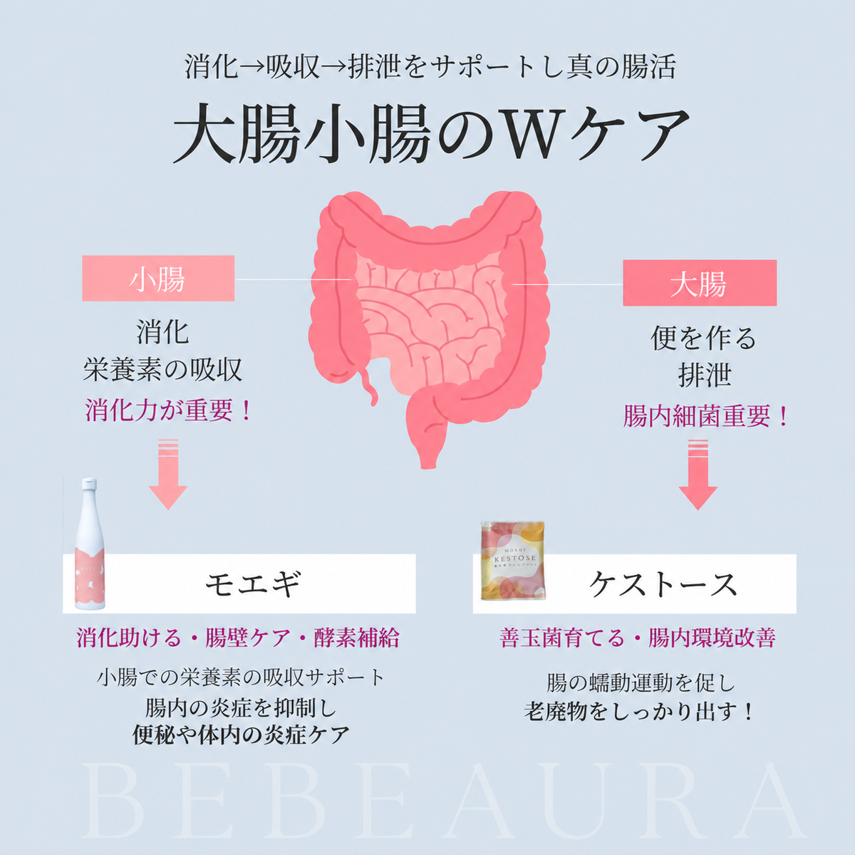 【酵素ドリンク】MOEGI